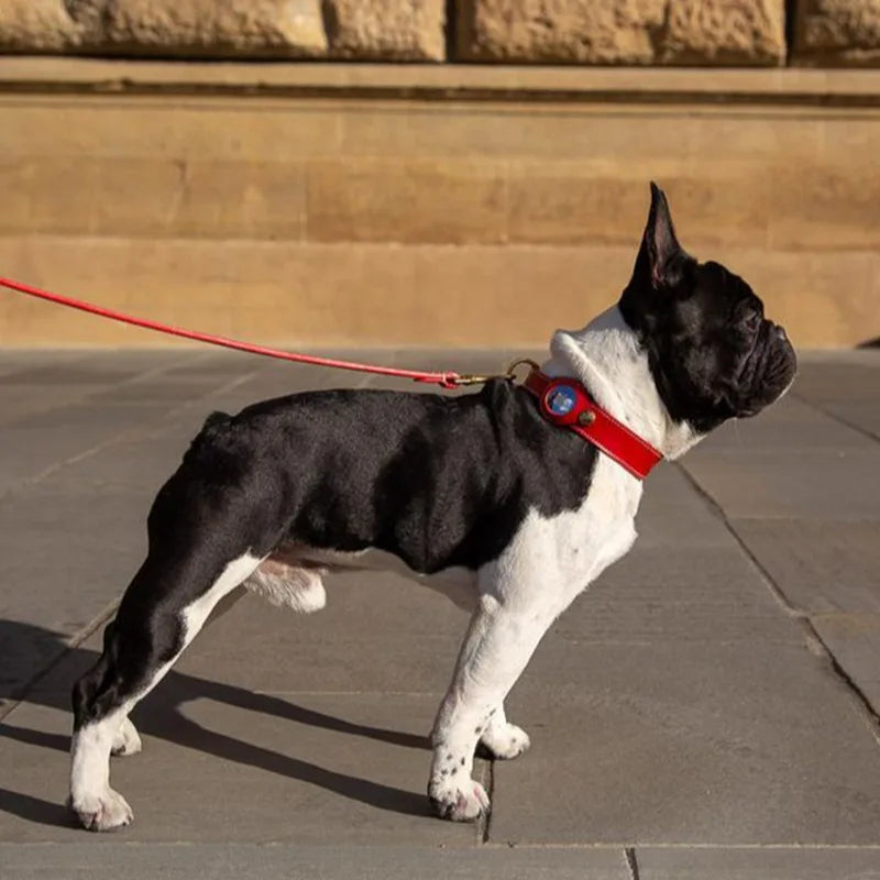 Collier Chien de Luxe pour AirTag la niche de jules jujufinddogluxe design élégant