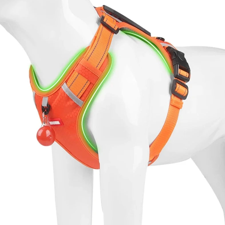 harnais anti traction de qualité pour chien la niche de jules jujuharn fluorescent lumineux dans la nuit 02