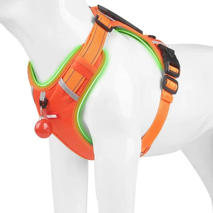 harnais anti traction de qualité pour chien la niche de jules jujuharn fluorescent lumineux dans la nuit 02