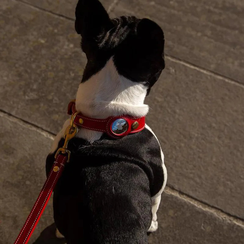 Collier Chien de Luxe pour AirTag la niche de jules jujufinddogluxe confortable