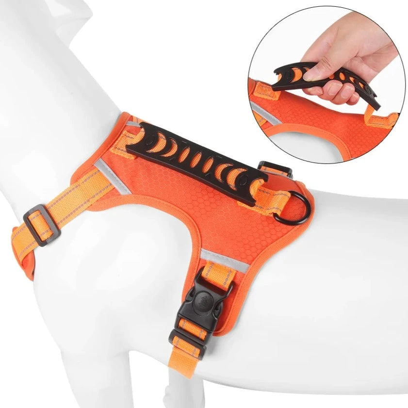harnais anti traction de qualité pour chien la niche de jules jujuharn poignée dorsale