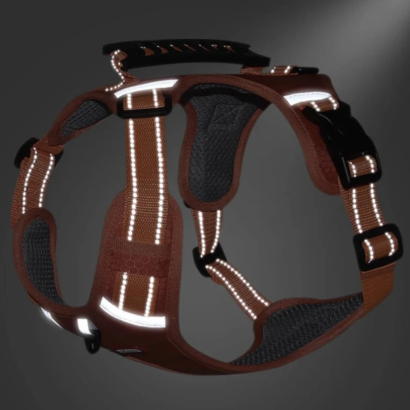 harnais anti traction de qualité pour chien la niche de jules jujuharn fluorescent lumineux dans la nuit