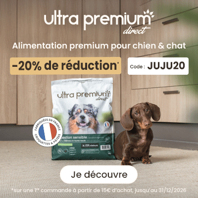 ultra premium direct croquette pour chien de qualité supérieure promotion 