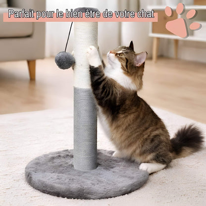 arbre a chat JujuLukiCatree la niche de jules parfait pour le bien etre quotidien de votre chat gris anthracite