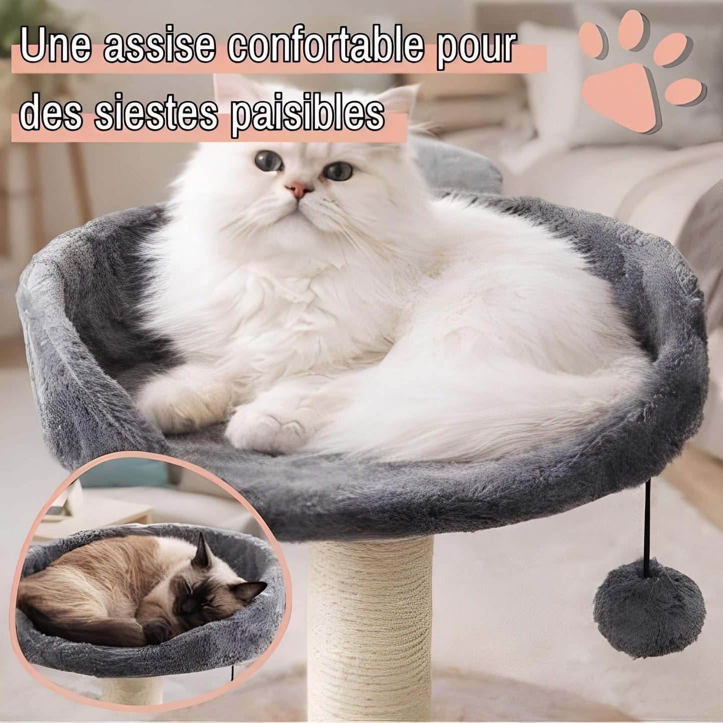 arbre a chat avec assise JujuCatLounge assise confortable siestes paisibles