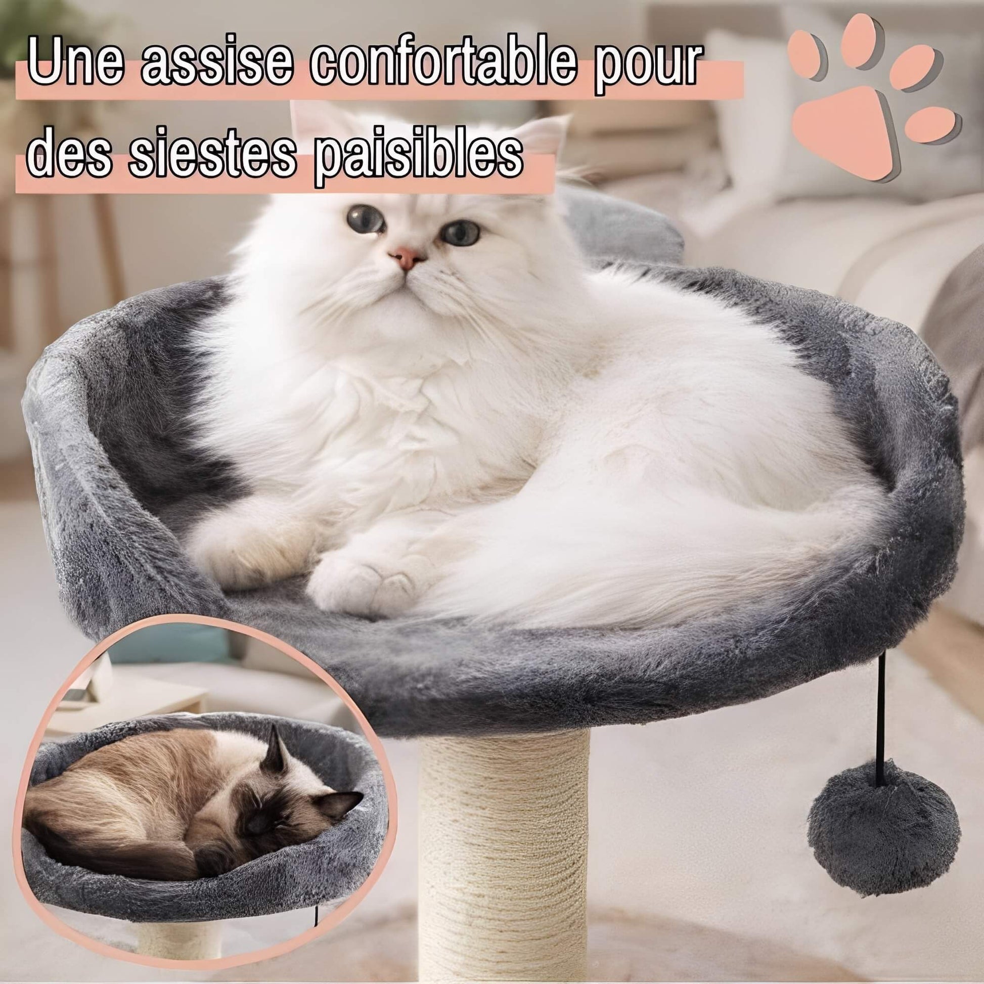 arbre a chat avec assise JujuCatLounge assise confortable siestes paisibles