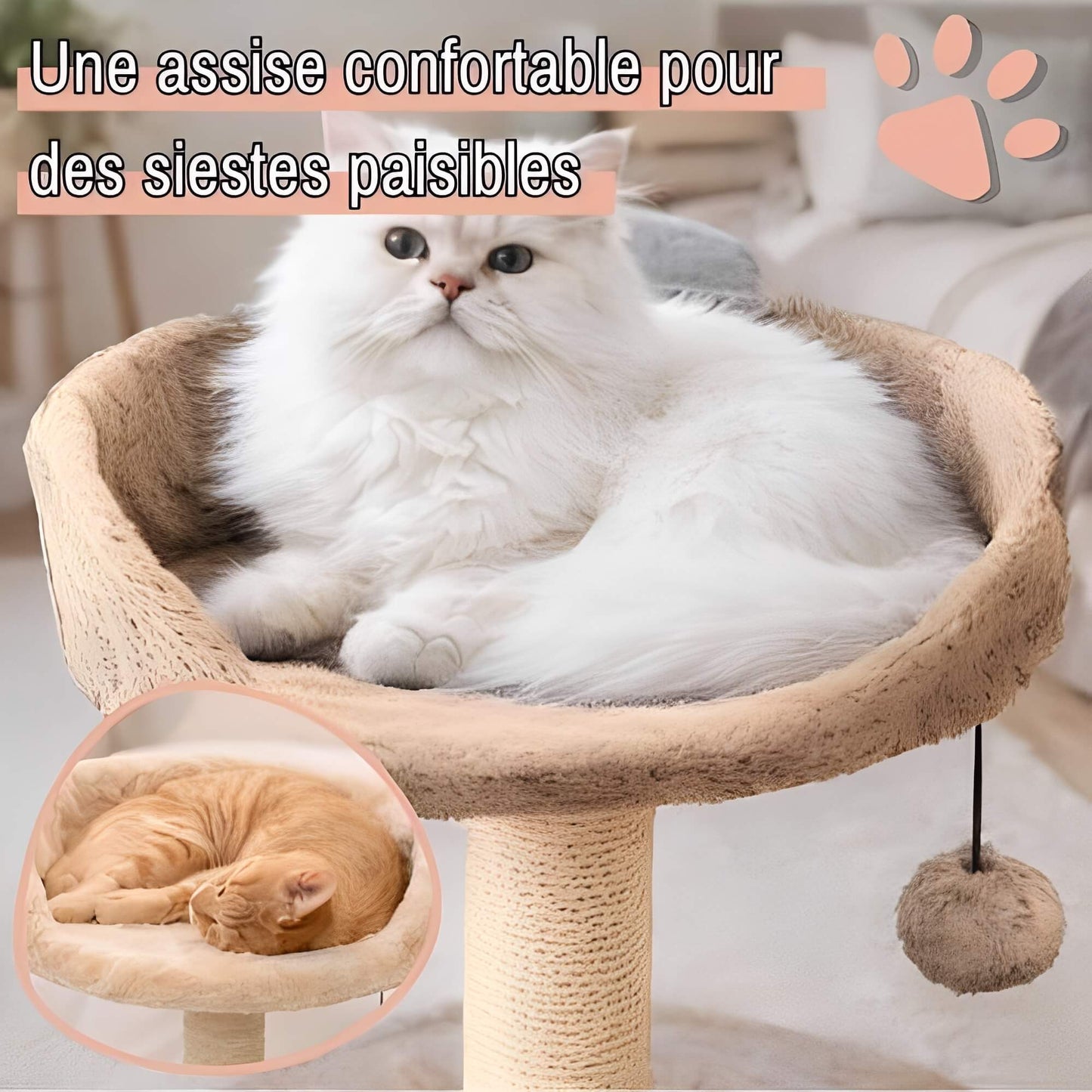 arbre a chat avec assise JujuCatLounge assise confortable siestes paisibles