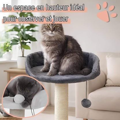 arbre a chat avec assise JujuCatLounge espace hauteur observer jouer
