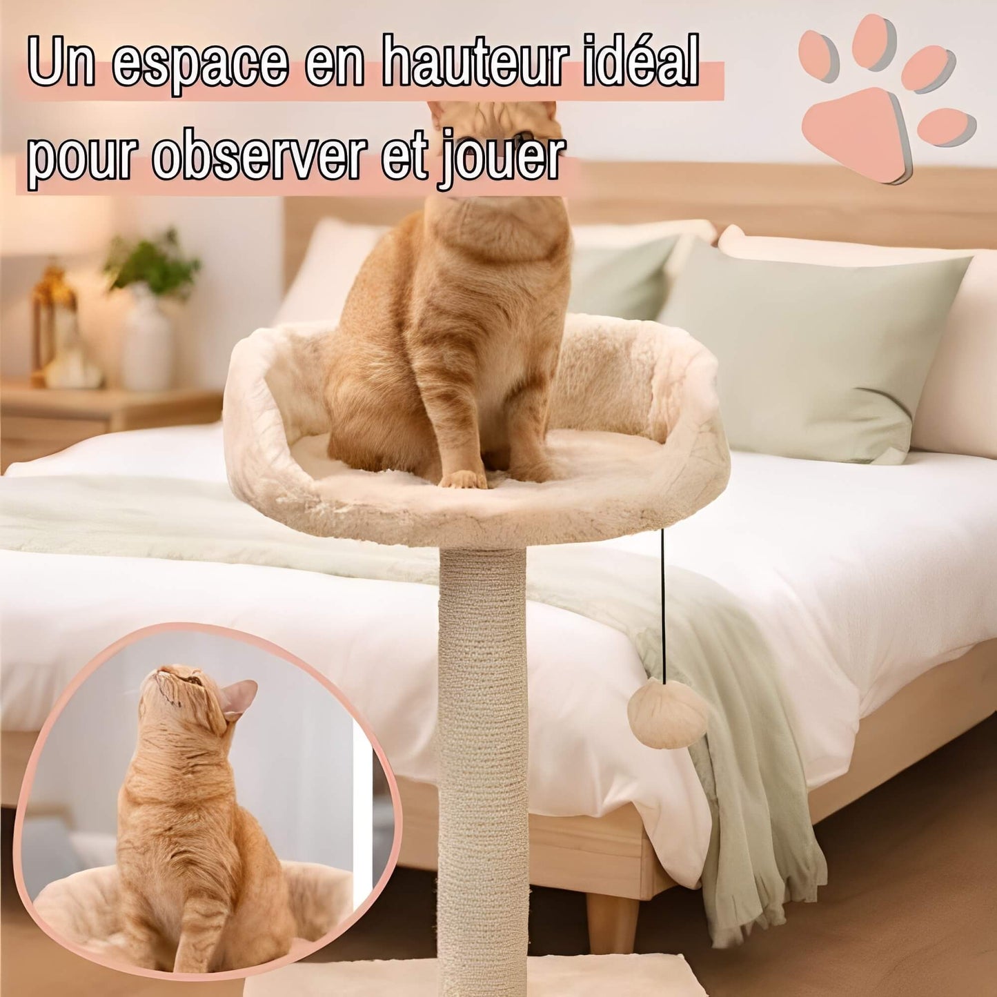 arbre a chat avec assise JujuCatLounge espace hauteur observer-jouer