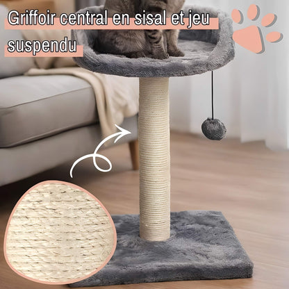 arbre a chat avec assise JujuCatLounge griffoir central-sisal jeu suspendu