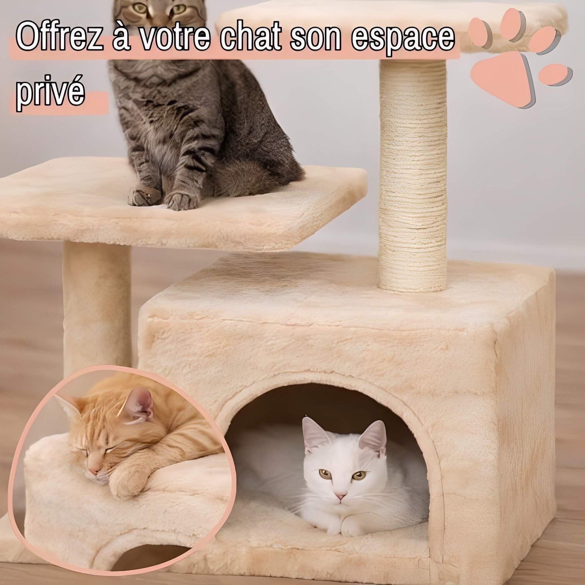 arbre a chat avec refuge JujuLukiRefugeCat la niche de jules espace prive