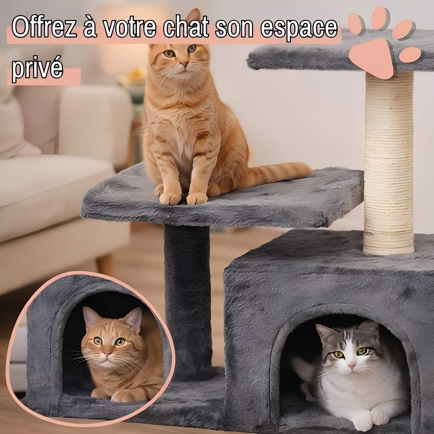 arbre a chat avec refuge JujuLukiRefugeCat la niche de jules offrez chat espace prive