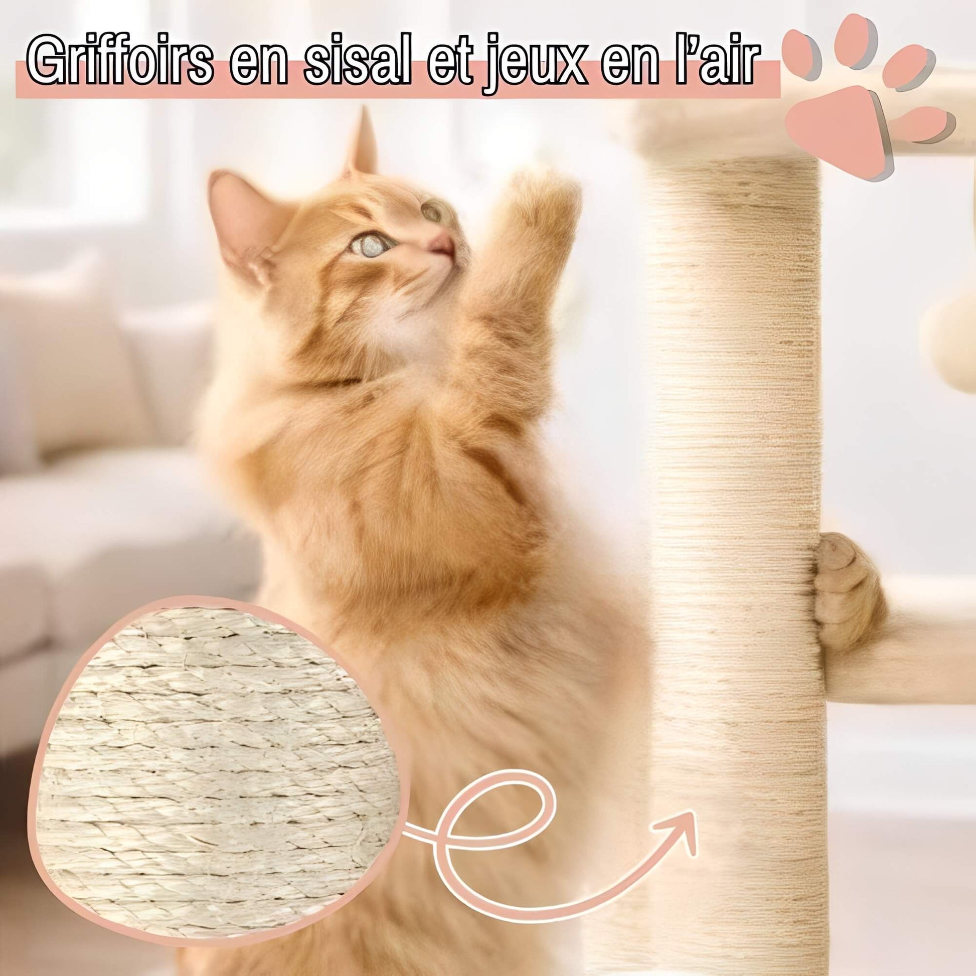 arbre a chat grand format JujuLukiNinjaWarrior la niche de jules griffoirs sisal jeux air ecru