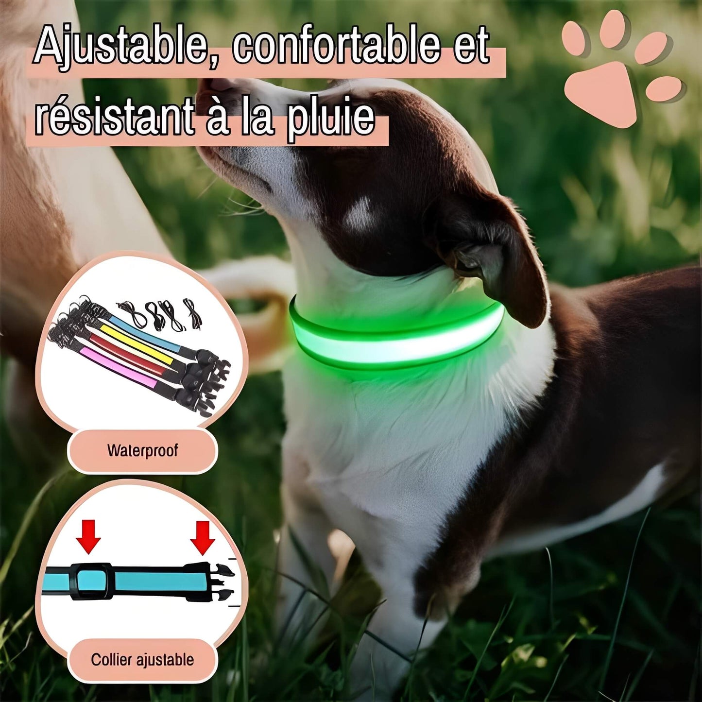 collier lumineux pour chien la niche de jules Jujulumicollar ajustable confortable et résistant à la pluie