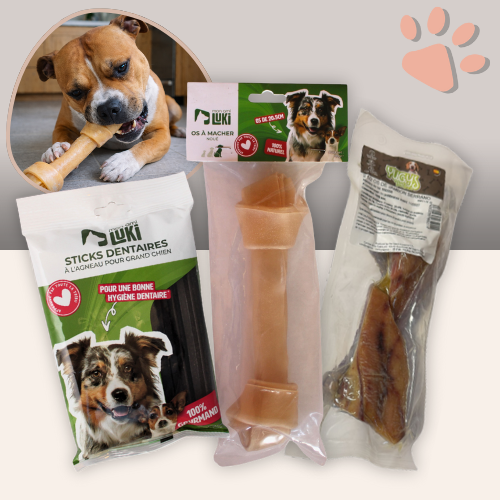 friandise pour chien box mastication puissante la niche de jules mon ami luki