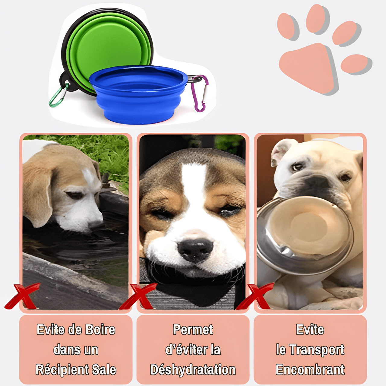 gamelle pliable compact pour chien jujugampl la niche de jules avantages