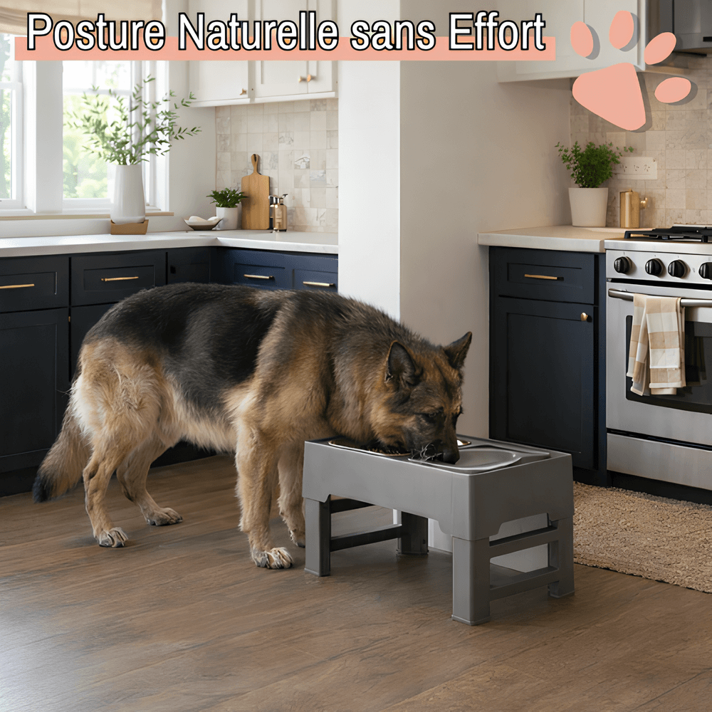 gamelle surélevée pour chien trépied gamelle jujubowllift acier la niche de jules posture naturelle sans effort