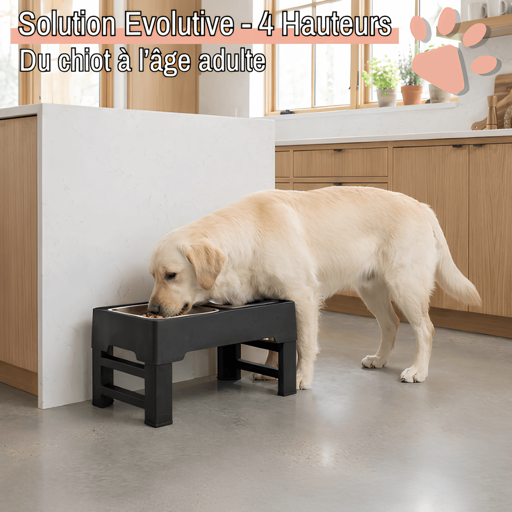 gamelle surélevée pour chien trépied gamelle jujubowllift acier la niche de jules solution évolutive
