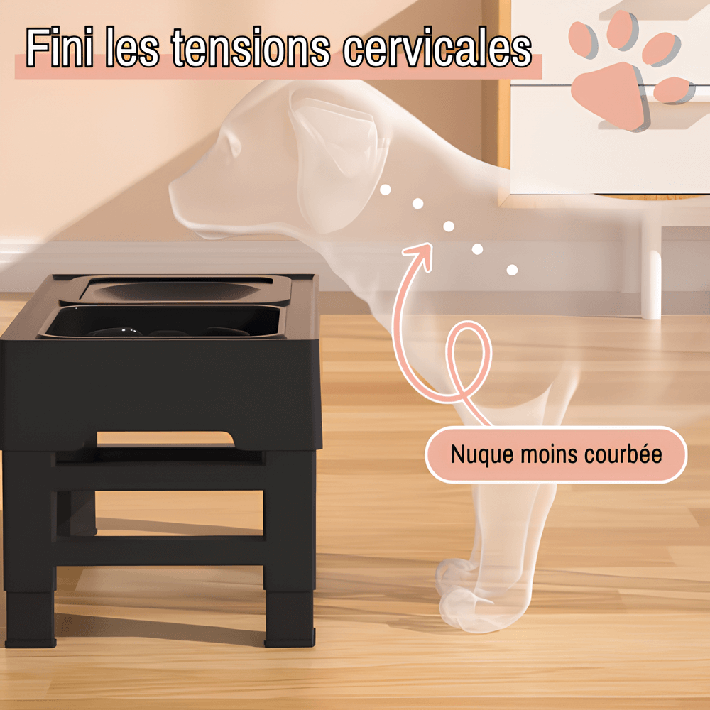 gamelle surélevée pour chien jujubowllift anti glouton la niche de jules fini les tensions cervicales