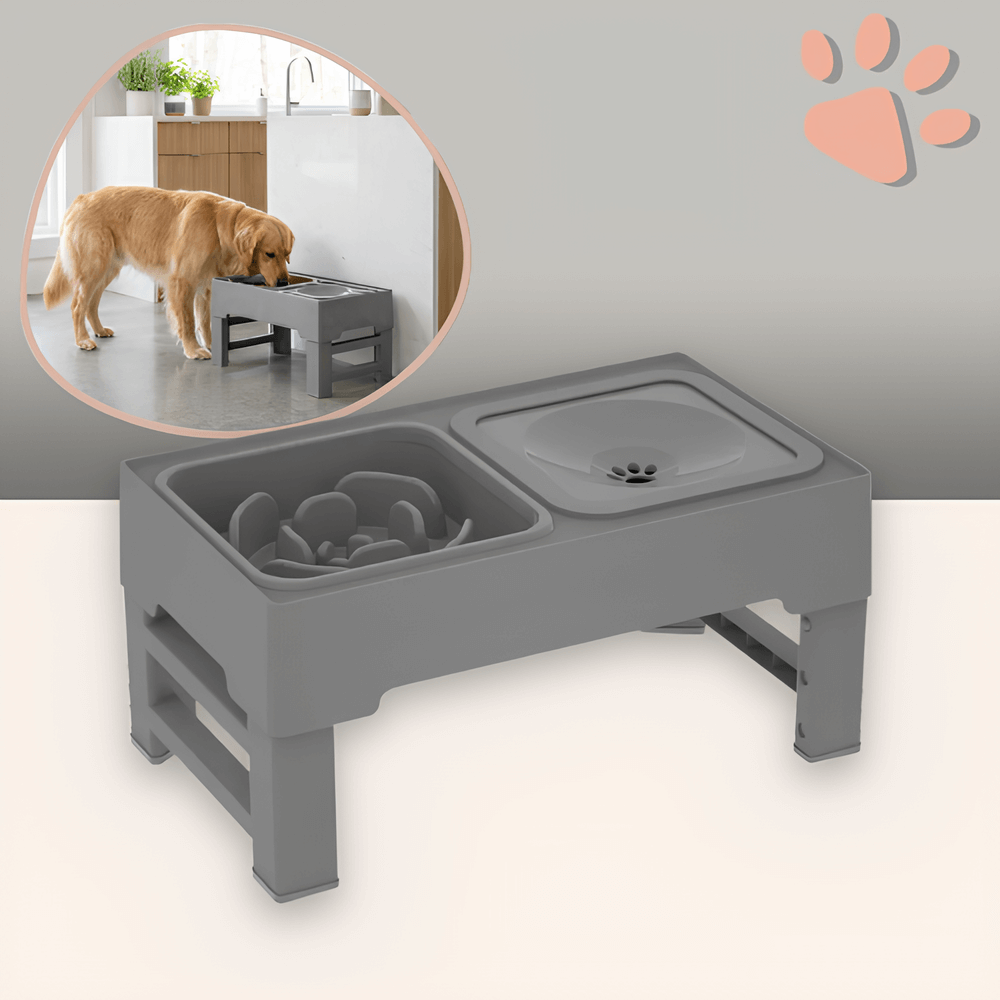 gamelle surélevée pour chien jujubowllift anti glouton la niche de jules gris