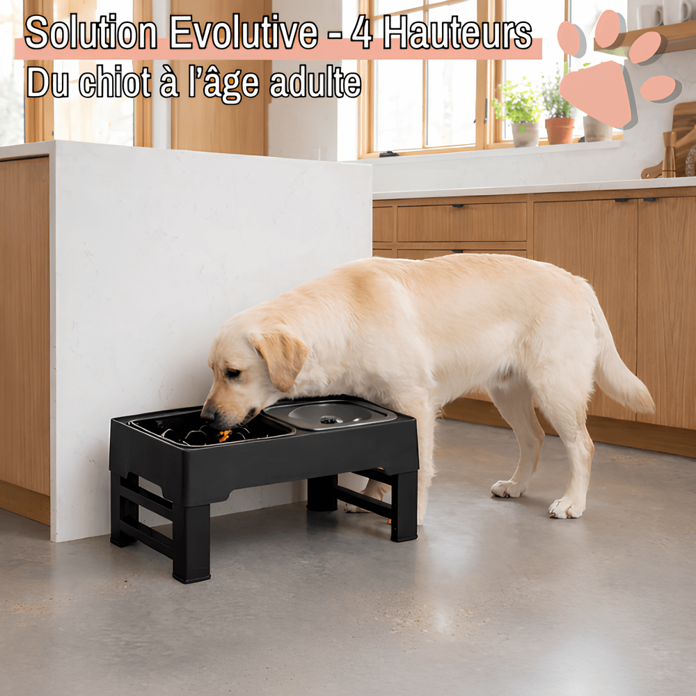 gamelle surélevée pour chien jujubowllift anti glouton la niche de jules solution évolutive