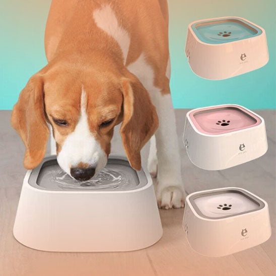 gamelle anti debordement pour chien la niche de jules jujugam mise en situation