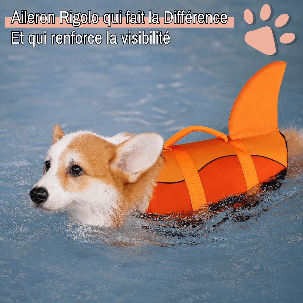 gilet sauvetage pour chien aileron de requin jujushark la niche de jules aileron requin