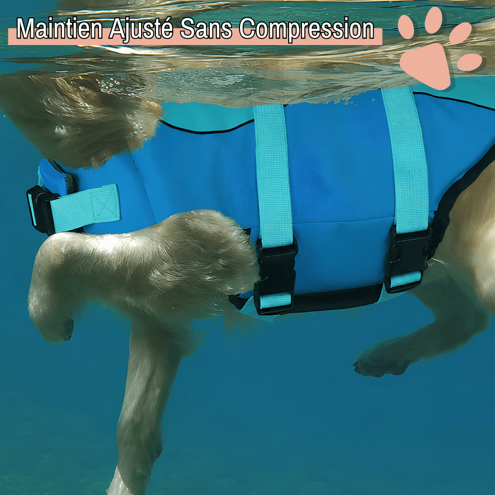 gilet sauvetage pour chien aileron de requin jujushark la niche de jules maintien austé