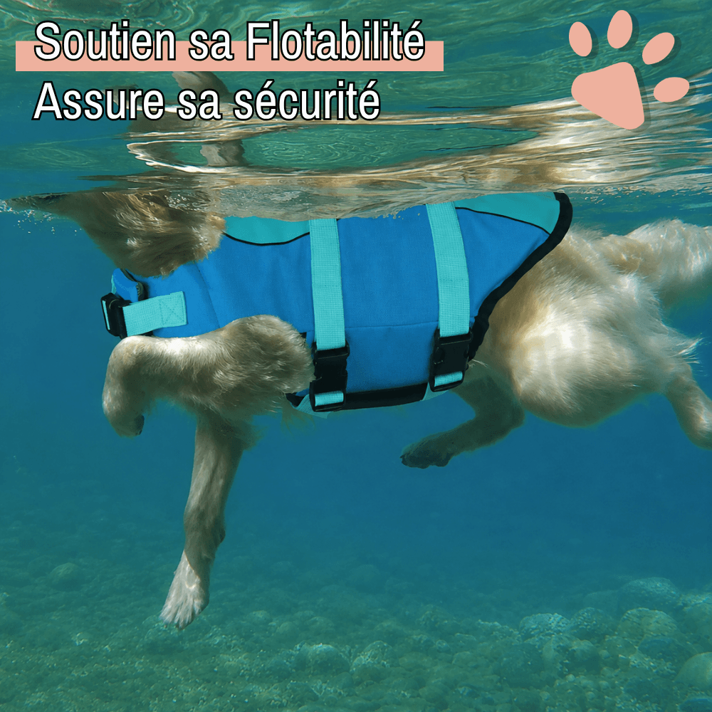 gilet sauvetage pour chien aileron de requin jujushark la niche de jules flotte et sécurise