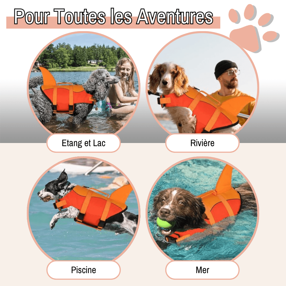 gilet sauvetage pour chien aileron de requin jujushark la niche de jules piscine mer lac rivière