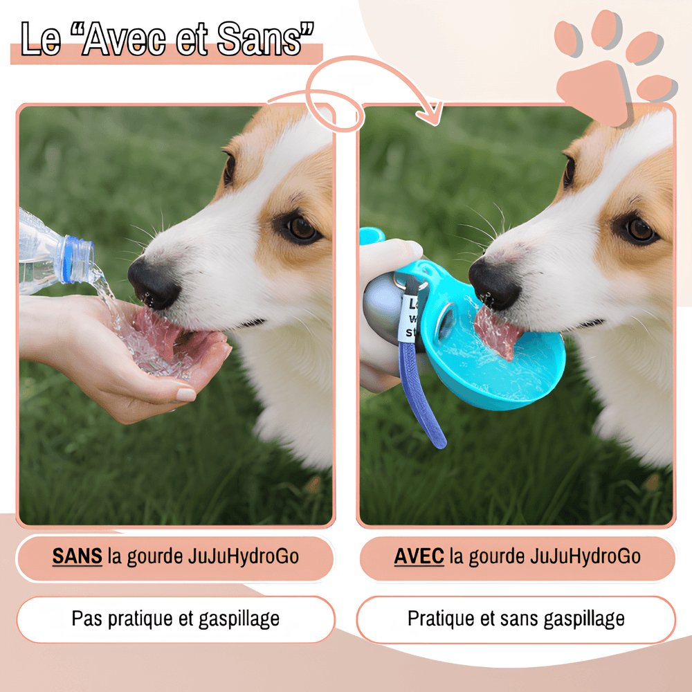 mini gourde ronde pour chien avec bec silicone 285 300 ml 2 en 1 jujuhydrogo la niche de jules avec et sans