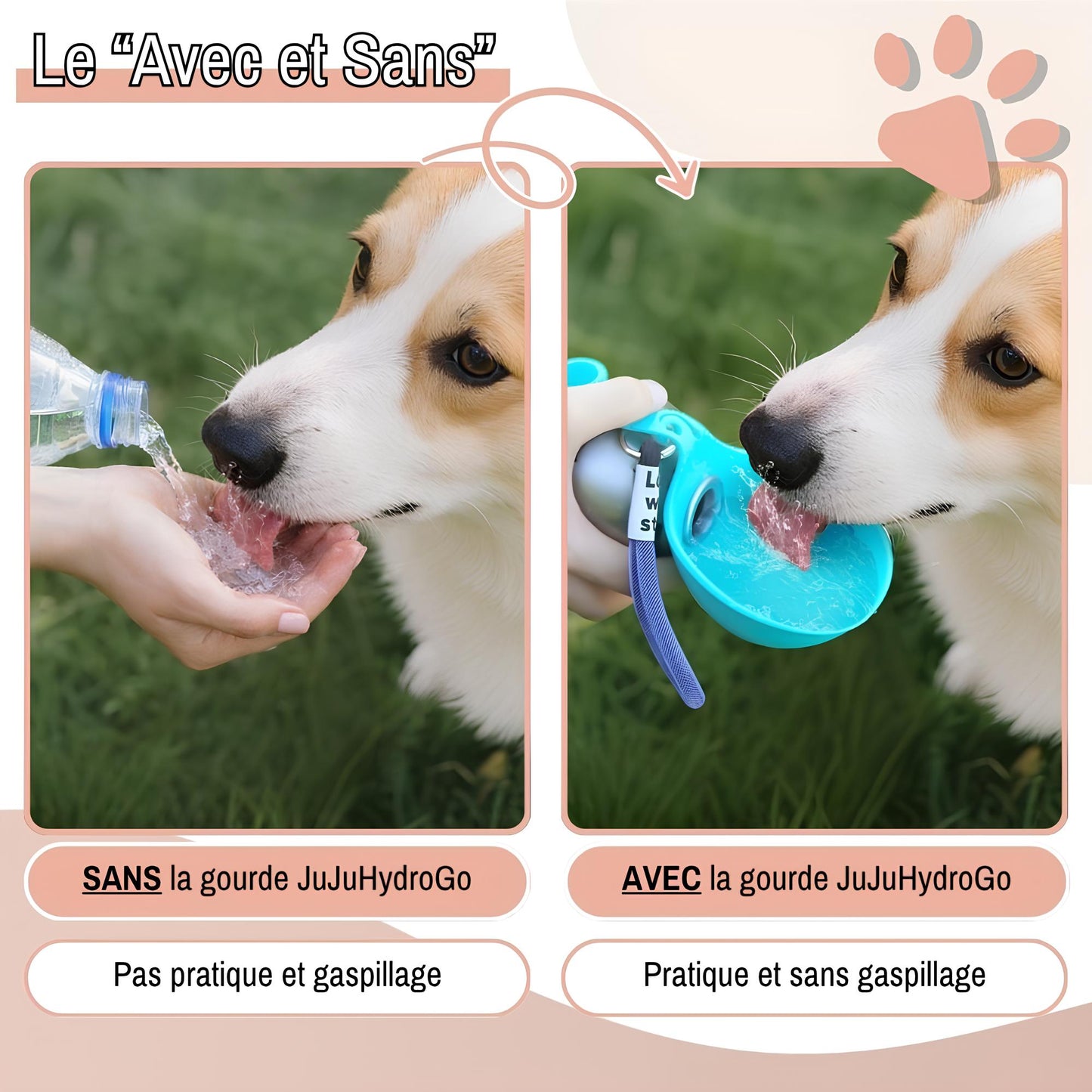mini gourde ronde pour chien jujuhydrogo la niche de jules avec et sans la gourde