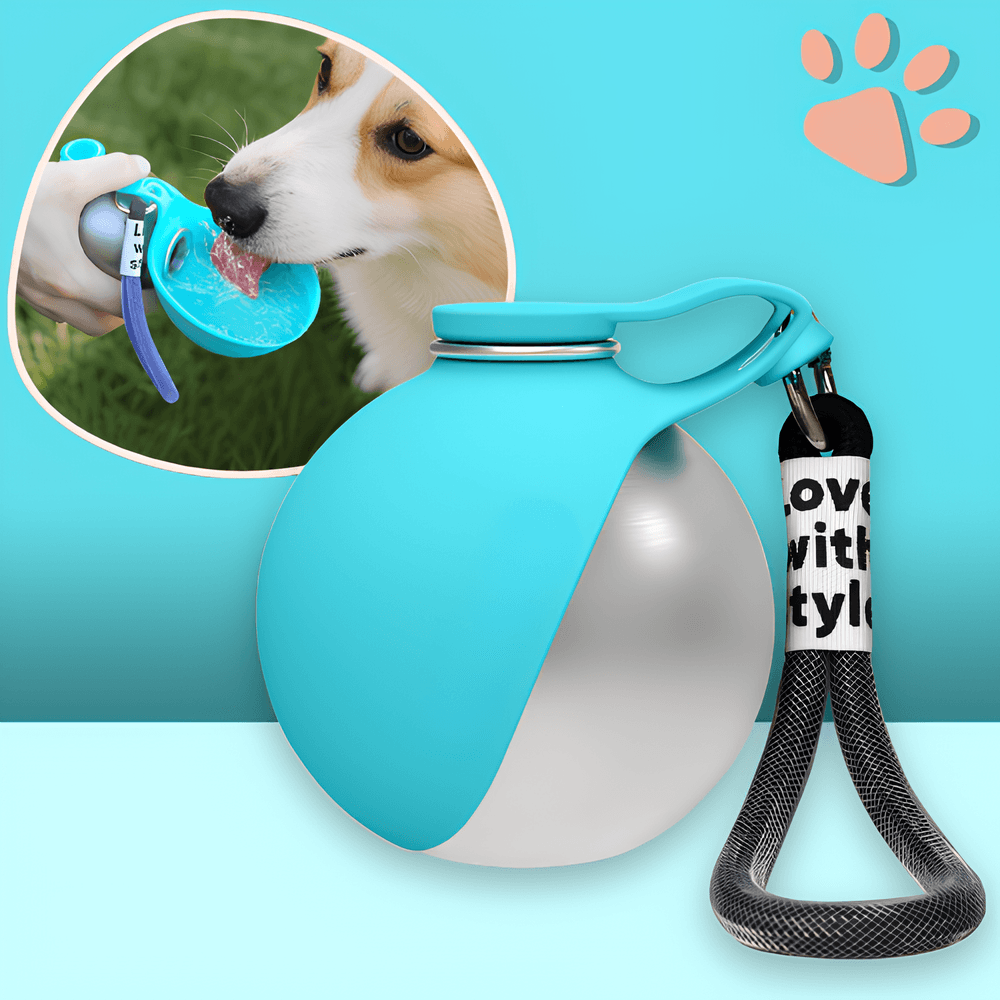 mini gourde ronde pour chien avec bec silicone 285 300 ml 2 en 1  jujuhydrogo la niche de jules bleu