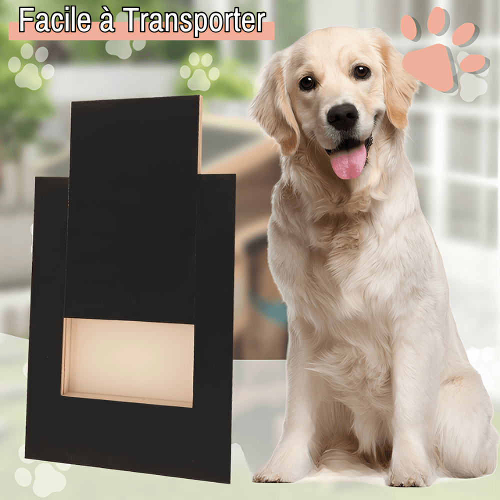 griffoir pour chien avec boite friandise JuJuScratchPaw la niche de jules variante facile à transporter