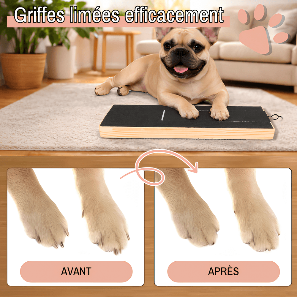 Jouet pour chien - Griffoir pour chien en bois avec boite à friandises | JuJuScratchPaw™