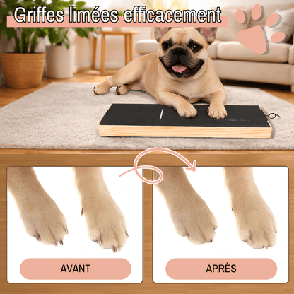 Jouet pour chien - Griffoir pour chien en bois avec boite à friandises | JuJuScratchPaw™