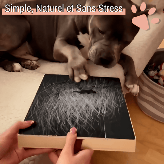 griffoir pour chien avec boite friandise JuJuScratchPaw la niche de jules variante simple naturel et sans stress