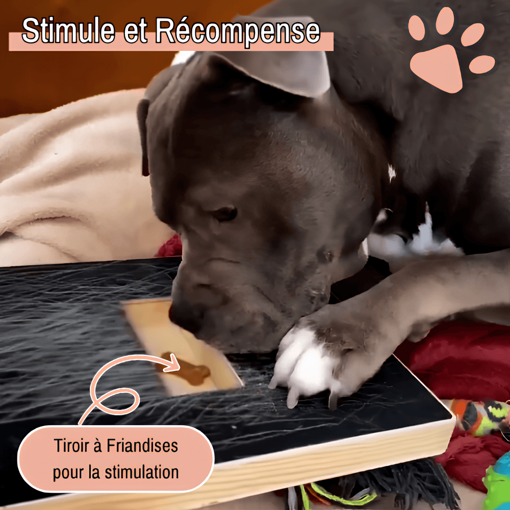 griffoir pour chien avec boite friandise JuJuScratchPaw la niche de jules variante stimule et récompense
