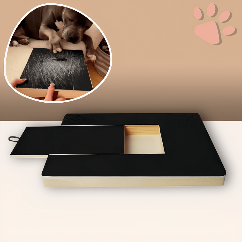 griffoir pour chien avec boite friandise JuJuScratchPaw la niche de jules variante