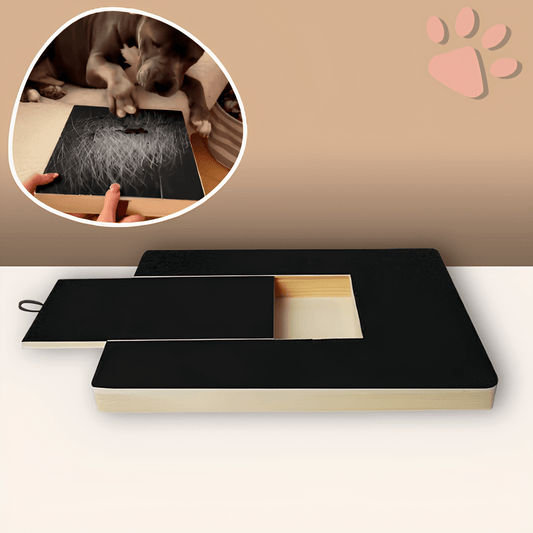 griffoir pour chien avec boite friandise JuJuScratchPaw la niche de jules variante