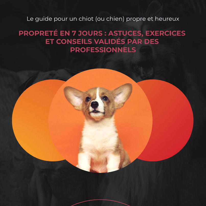 Le guide pour un chiot (ou chien) propre et heureux - la niche de jules