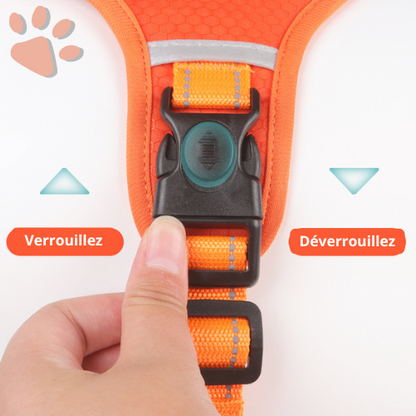 harnais anti traction respirant de qualite pour chien la niche de jules jujuharn fluorescent attache rapide