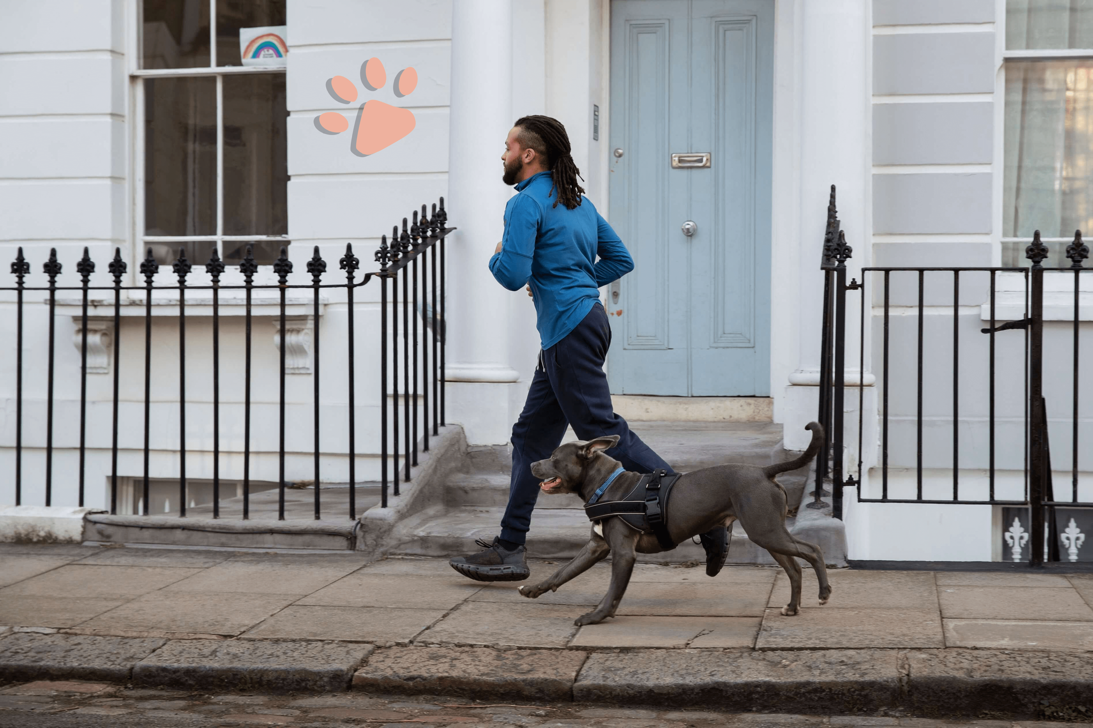 harnais rétractable chien animalerie en ligne la niche de jules header