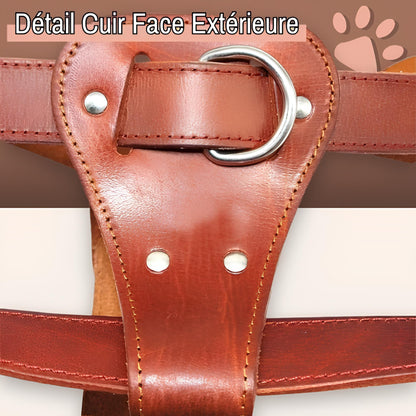 harnais en cuir veritable pour chien la niche de jules jujuluxeharness extérieur