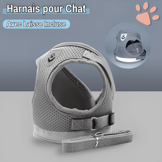 harnais pour chat jujucatharn la niche de jules gris