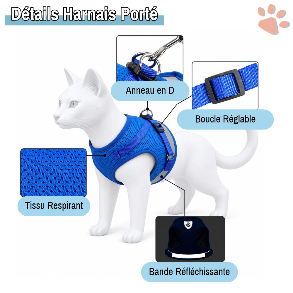 Harnais pour Chat Anti-Tranction avec Laisse OFFERTE | JuJuCatHarn™