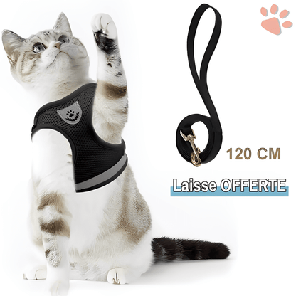 Harnais pour Chat Anti-Tranction avec Laisse OFFERTE | JuJuCatHarn™