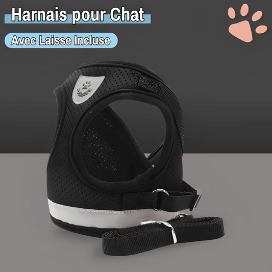 harnais pour chat jujucatharn la niche de jules noir