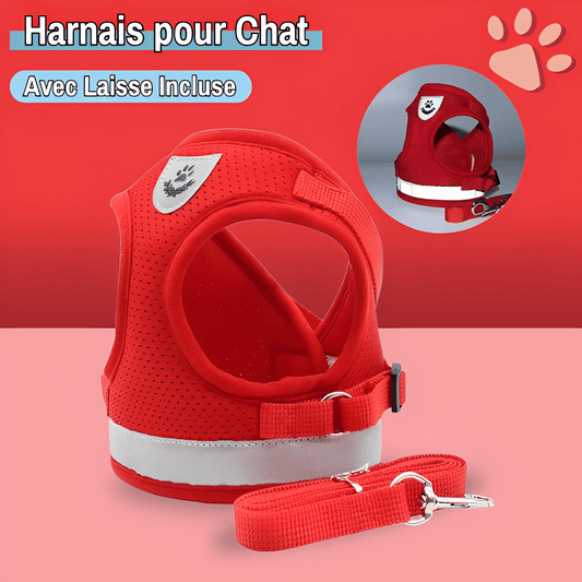 Harnais pour Chat Anti-Tranction avec Laisse OFFERTE | JuJuCatHarn™ - ROUGE - Taille M - Collection "Seconde patte 🐾"