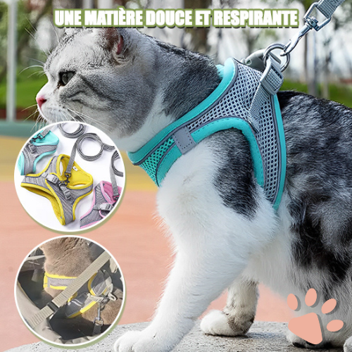 harnais pour chat anti traction SFP jujucatharn2 la niche de jules doux et respirant